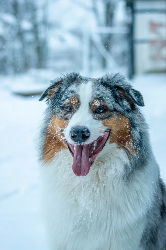 Winter